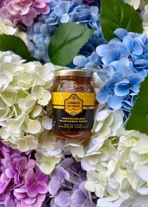 Newfoundland Raw Honey