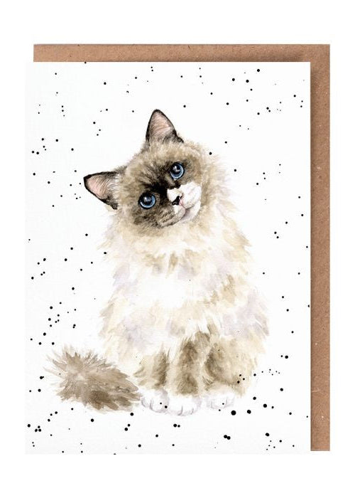 Paws for a Thought - Wrendale Occasion Card