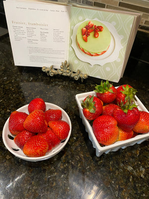 Berry Basket